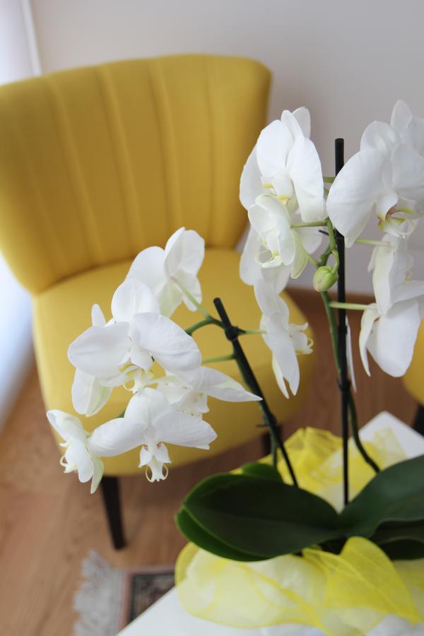 Al Sa di Te Bed & Breakfast Udine Bagian luar foto